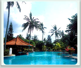 Bali tropika palace-04.jpg (22128 バイト)