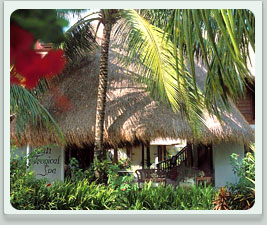 Bali tropika palace-05.jpg (28038 バイト)