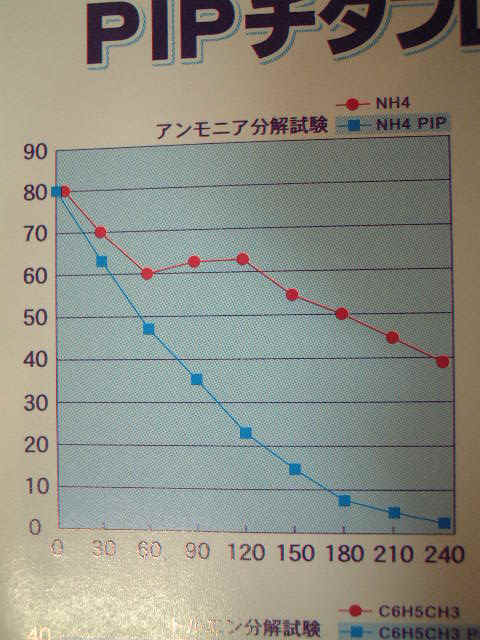 PIPchitauressyu-12.JPG (66382 �o�C�g)