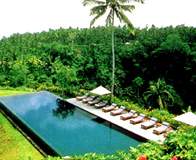 Alila-02.jpg (8608 �o�C�g)