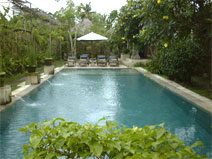 Barong Resort and Spa -06.jpg (13464 �o�C�g)