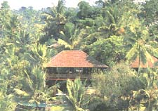 Begawan Giri Estate -02.jpg (21828 �o�C�g)