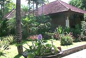 Diwangkara Beach Hotel-02.jpg (18382 �o�C�g)