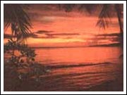 Samudra Arirang-02.jpg (5989 �o�C�g)