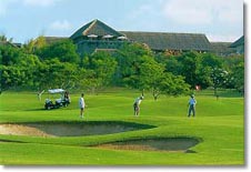 amanusa_golf.jpg (14773 �o�C�g)