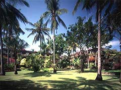 bali hyatt-01.jpg (23644 �o�C�g)