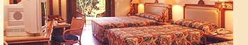 hotel radma bali-04.jpg (7099 �o�C�g)