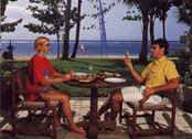 sheraton lagoon hotel-02.jpg (5221 �o�C�g)